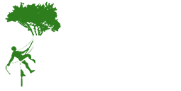 Tree Surgery Watford from Majestic Tree Care Ltd Logo